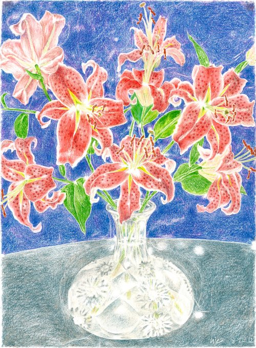 Tiger Lillies 08.22.12 print product image (1)