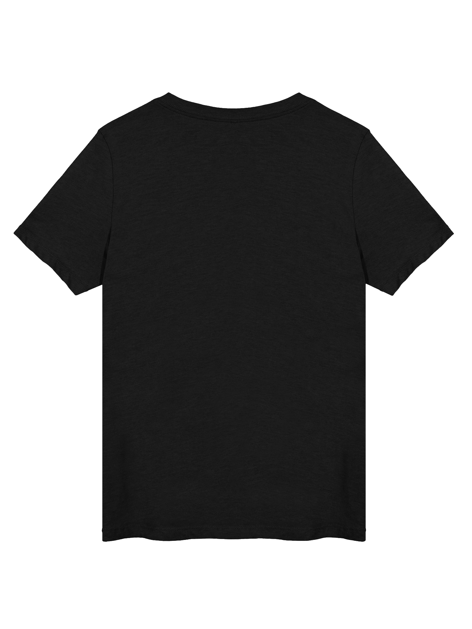 Sophisticated. Untamed. Relaxed V-Neck Tee product image (5)