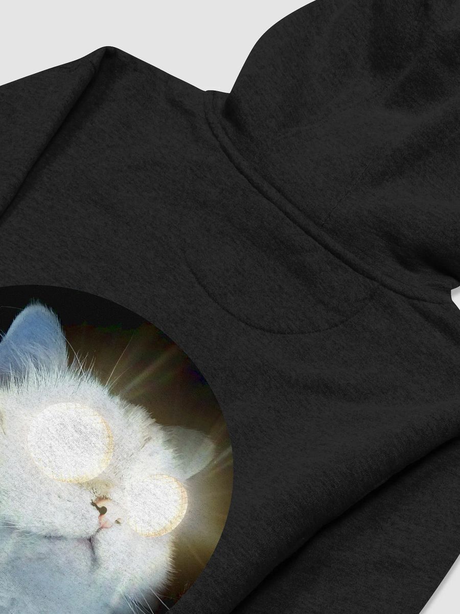 Hoodie product image (4)