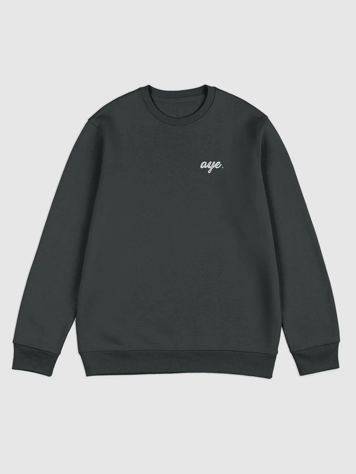 the "aye" deep dive$ crewneck. product image (1)