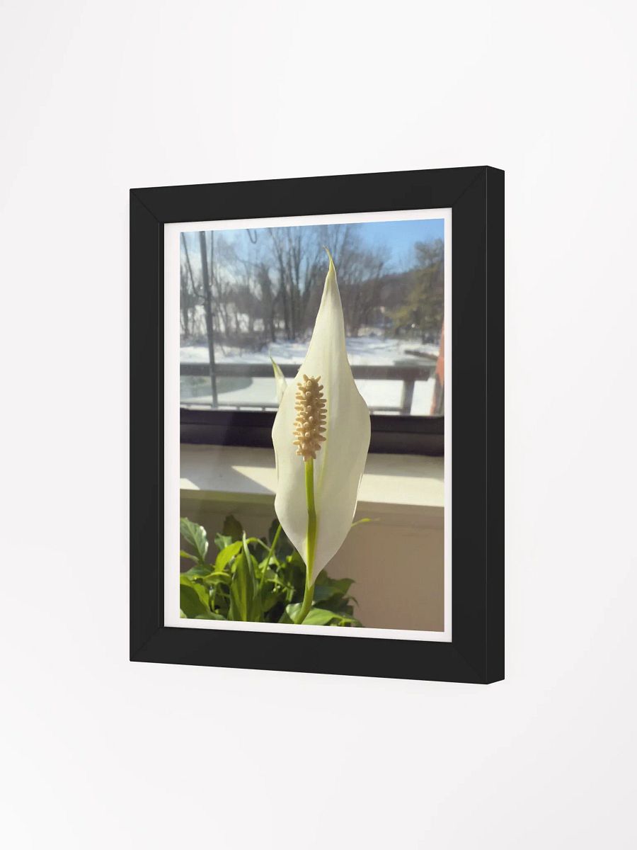 Hope print product image (21)