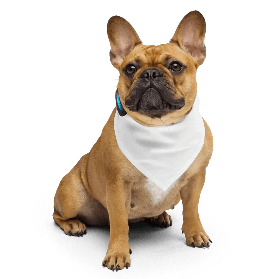 Create Greatness Full Print Bandana product image (6)