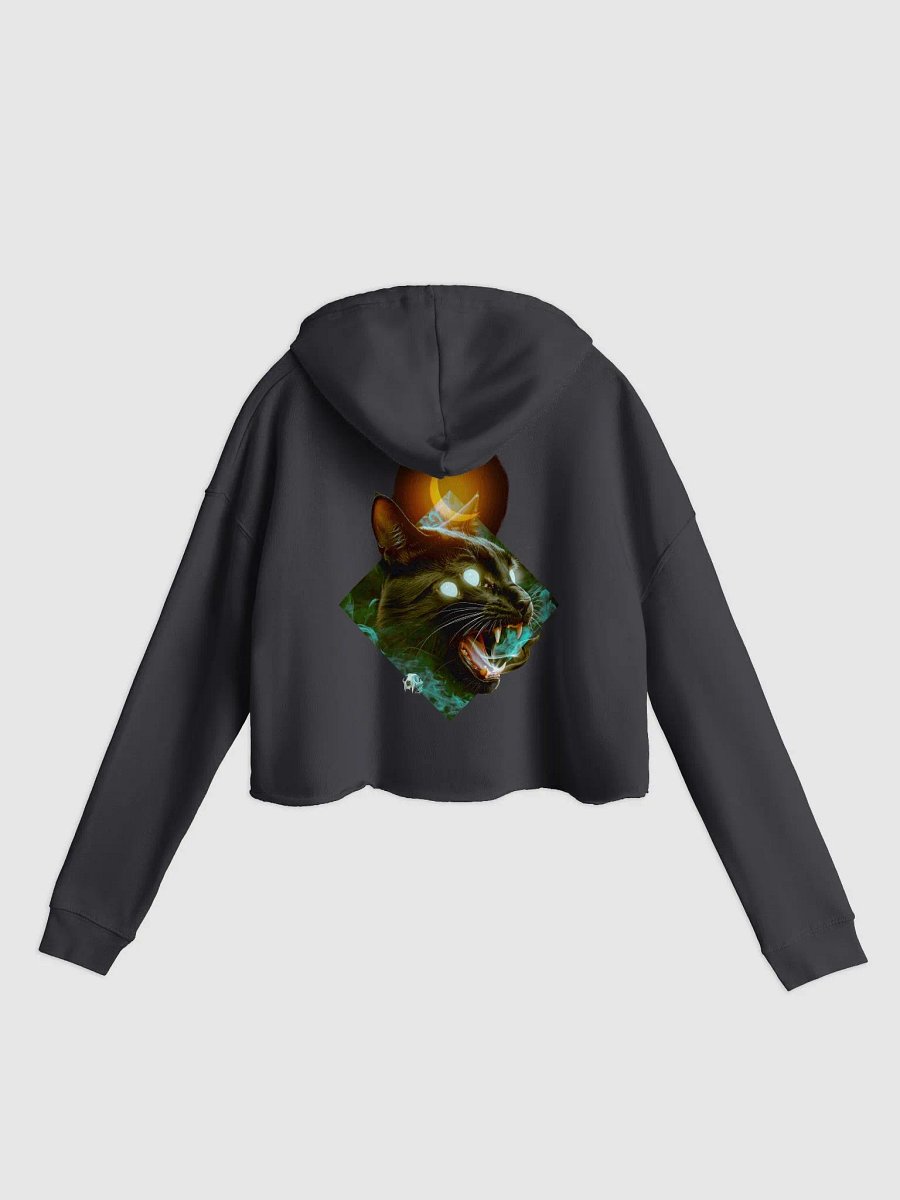 Charmed Cropped Hoodie product image (1)