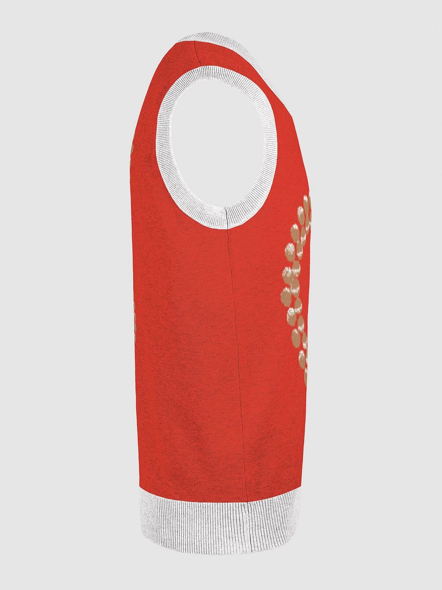 Heartfelt Knitted V-Neck Vest product image (23)