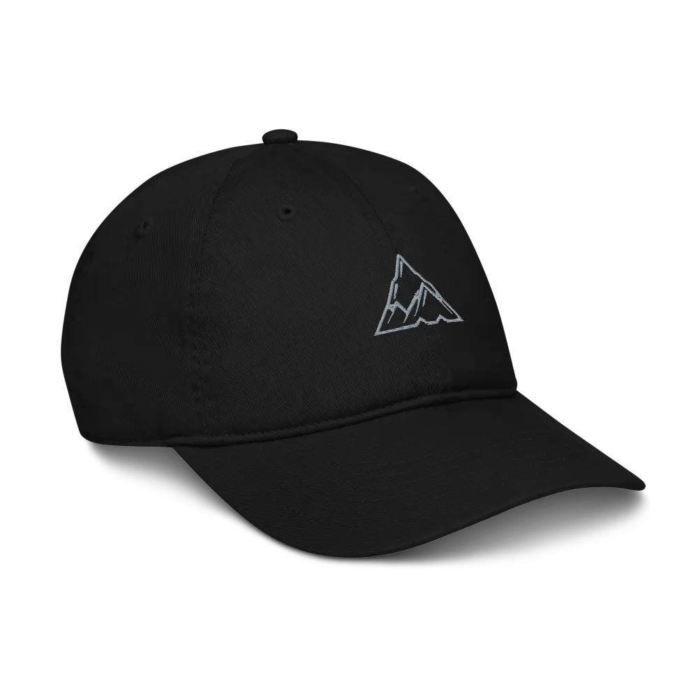 MOMENTUM Organic Dad Hat product image (4)