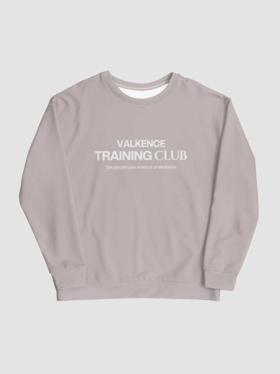Training Club Sweatshirt - Mauve Gray product image (5)