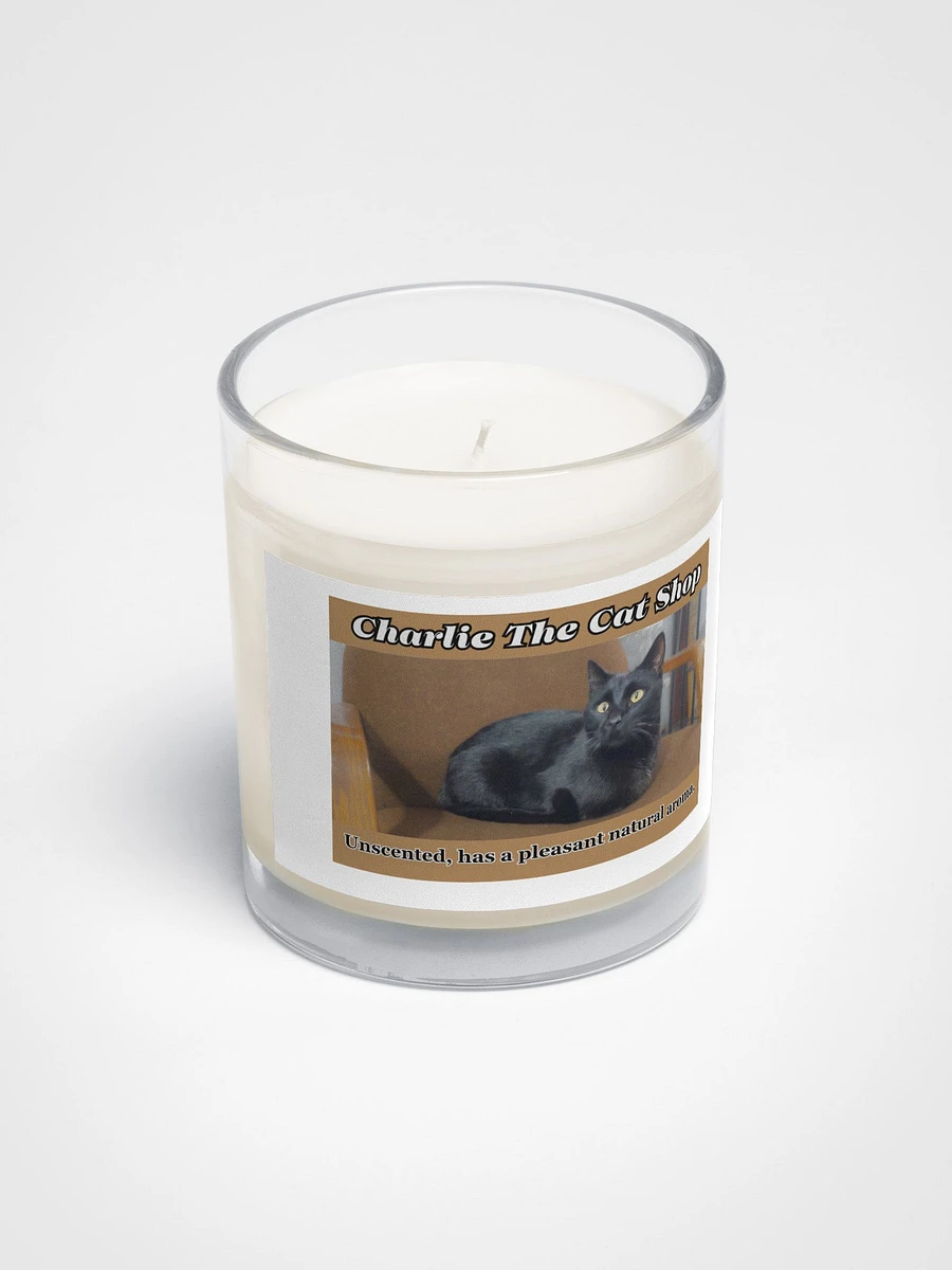 Panther The Cat Soy Wax Candle In A Clear Glass Jar product image (2)