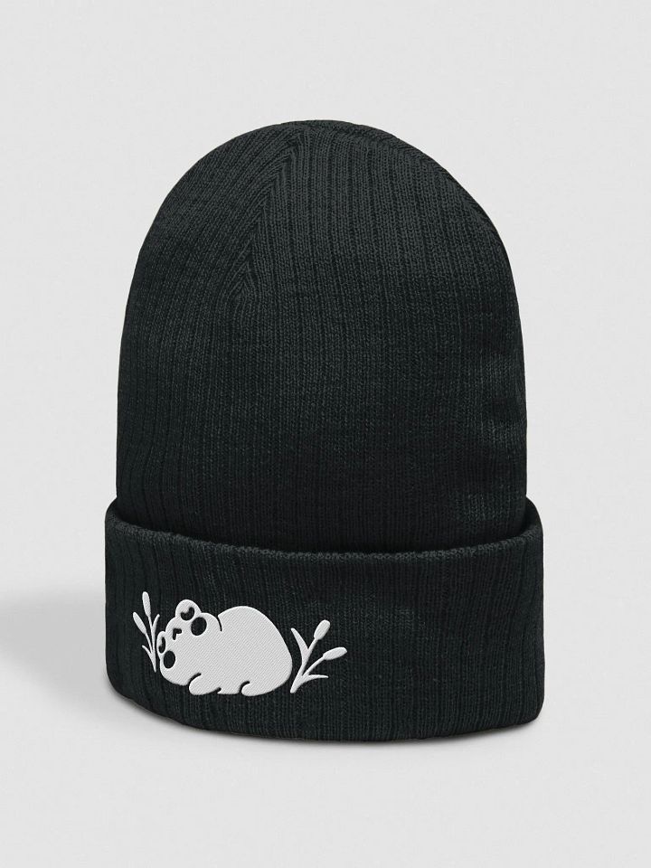 Eepy Fronk Beanie product image (2)