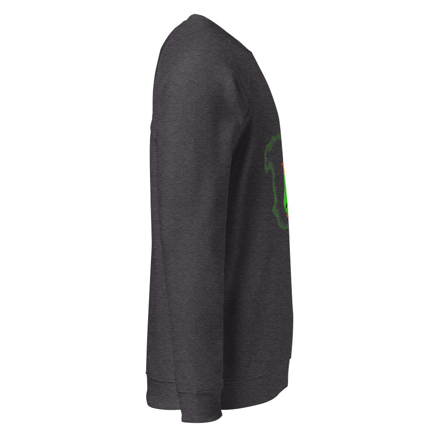 Dragon Crest Unisex Raglan Sweatshirt product image (4)