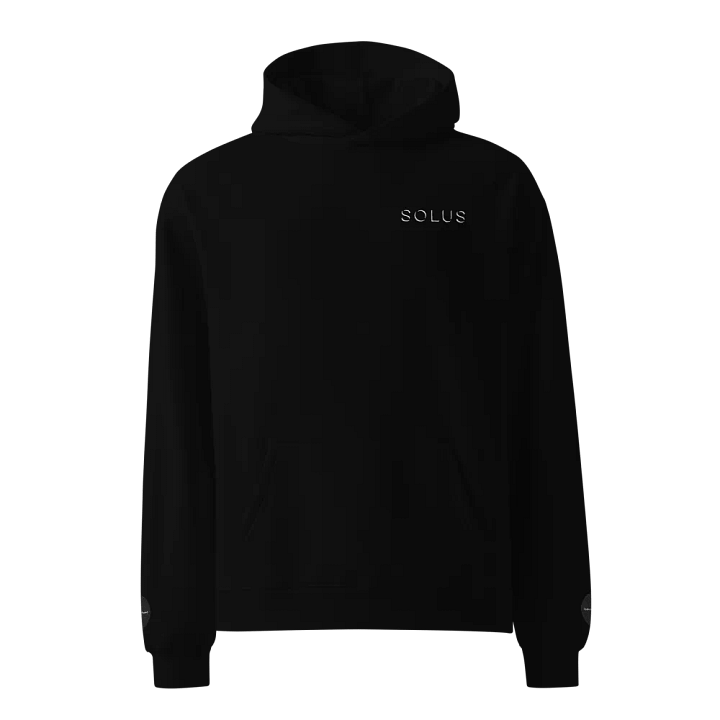 SOLUS EDITION - Embroidered Hoodie product image (2)