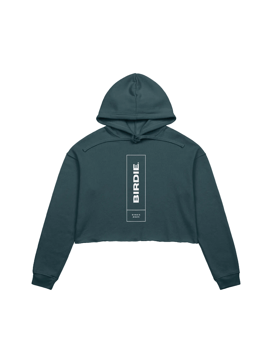BIRDIE Vertical Crop Hoodie product image (1)