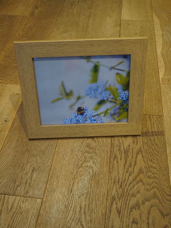 Ephemeral Harmony product image (1)