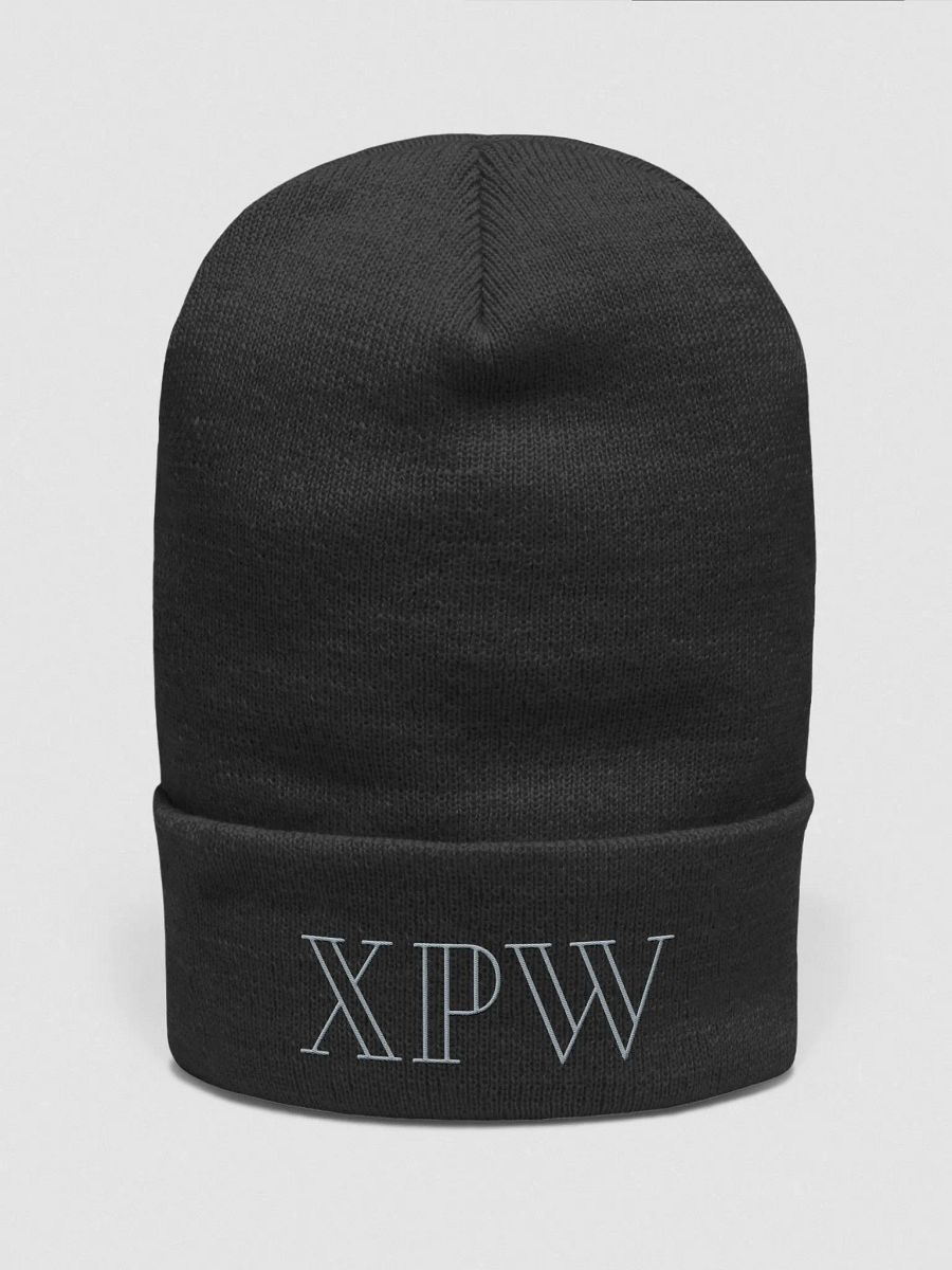 XPW Beanie product image (1)