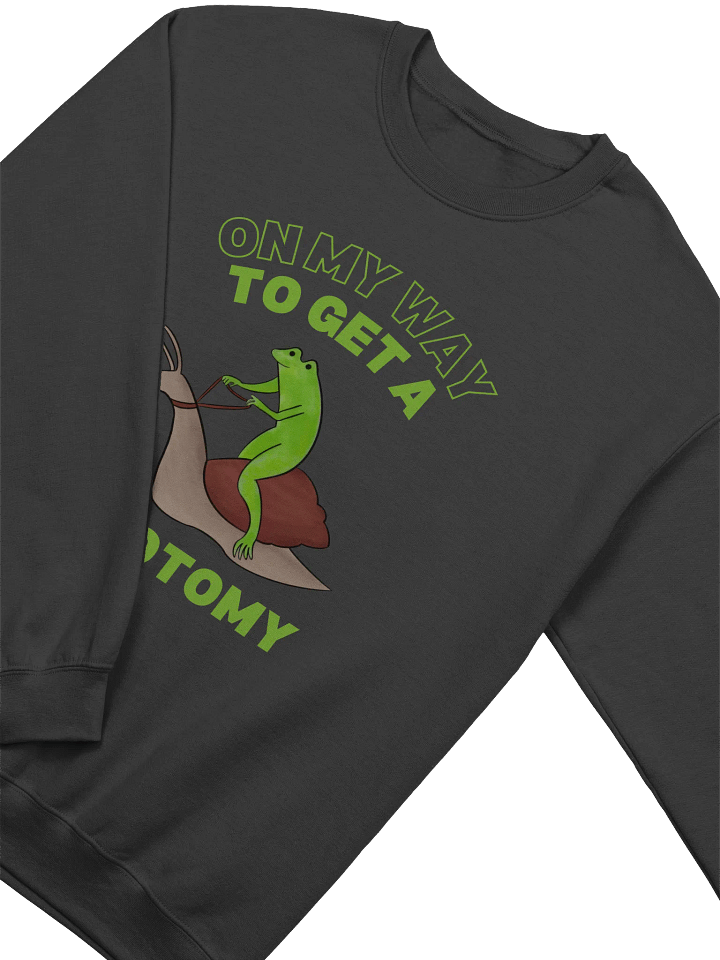 On My Way To Get A Lobotomy Frog On A Snail Sweatshirt product image (2)