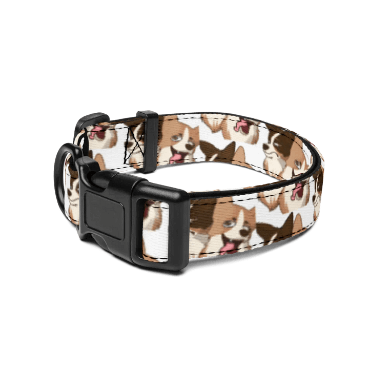 Winston & Walter Collar product image (2)