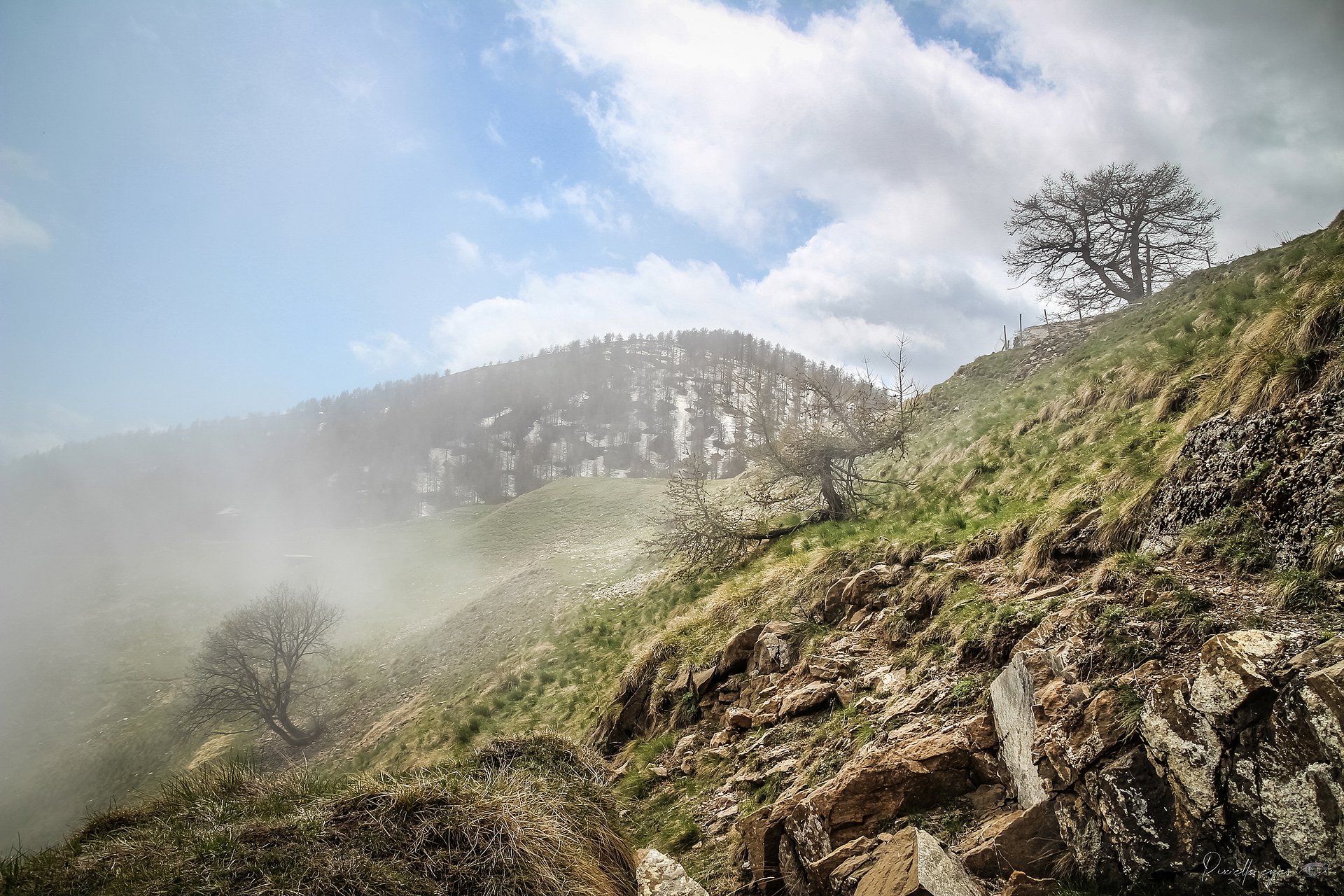 Fine art prestige - Misty Peaks at Col de Turini product image (1)