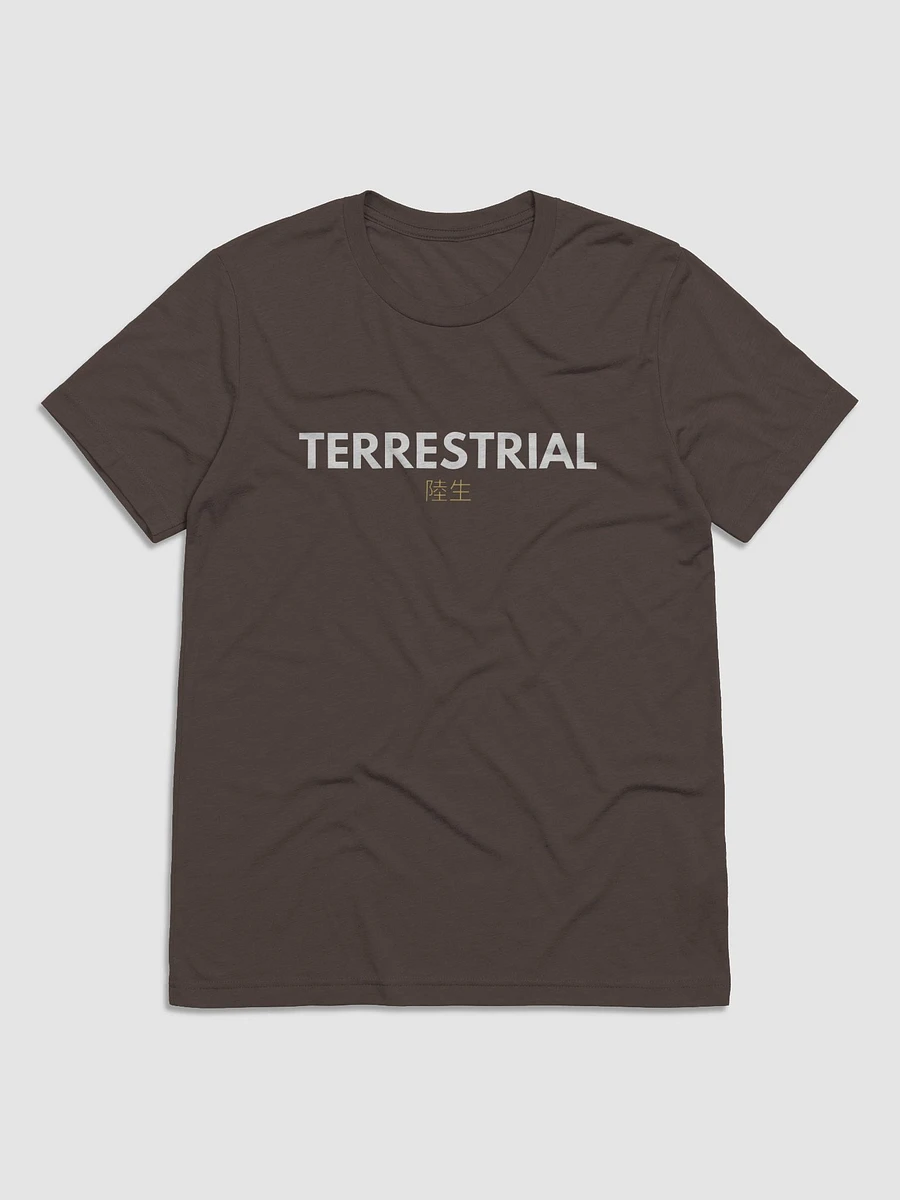 Terrestrial Logo Tee product image (20)