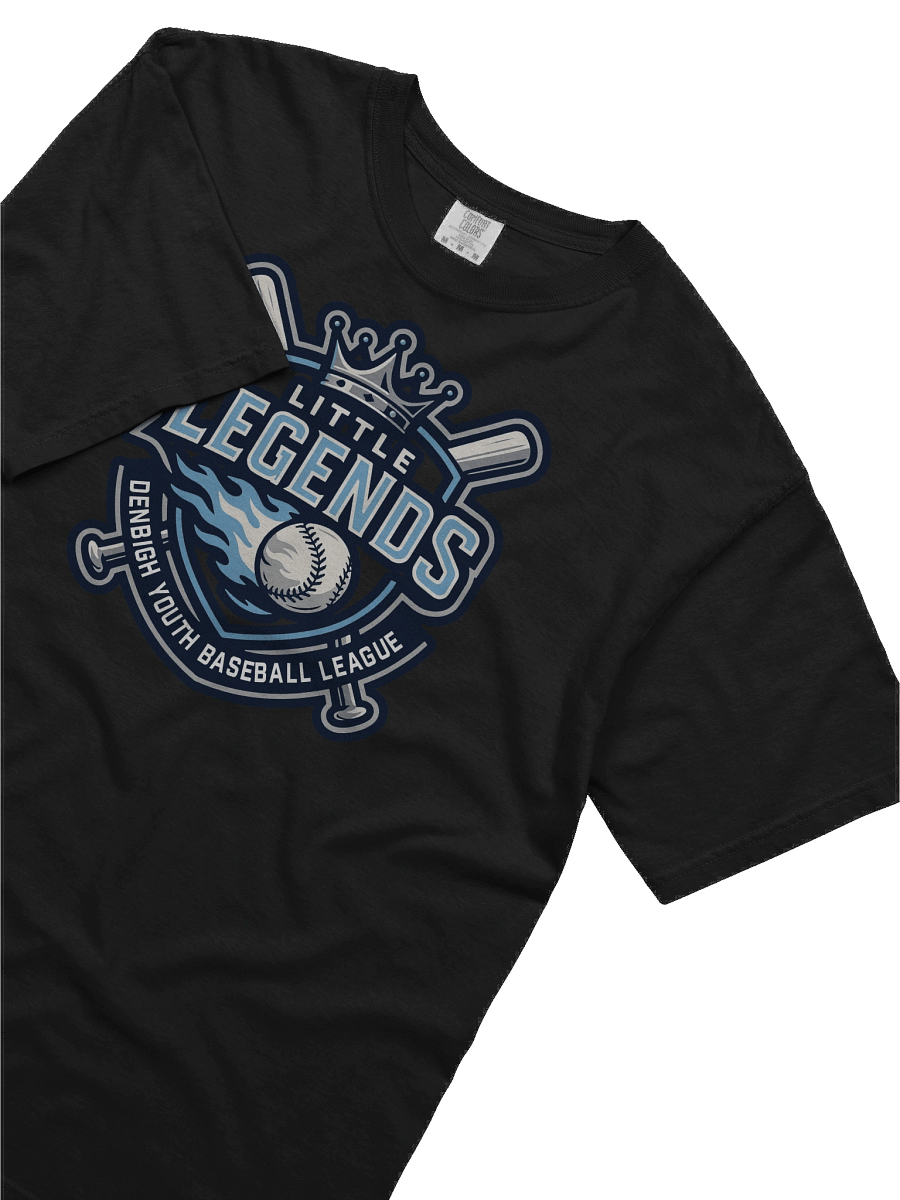 Little Legends - Heavyweight T-shirt product image (36)