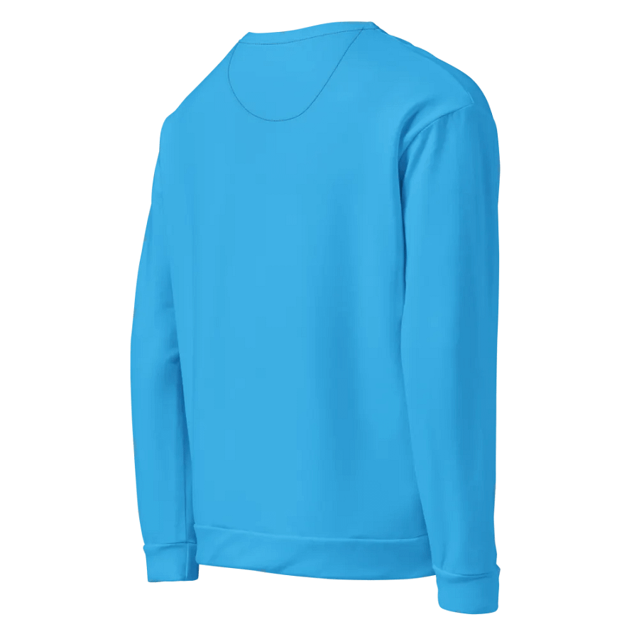 Catitude Level Expert Unisex Sweatshirt product image (9)