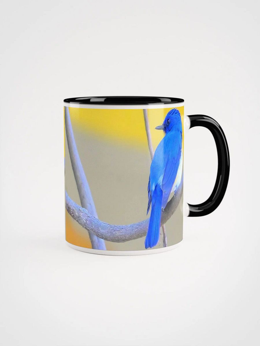 IUCAA Birds MUG product image (1)