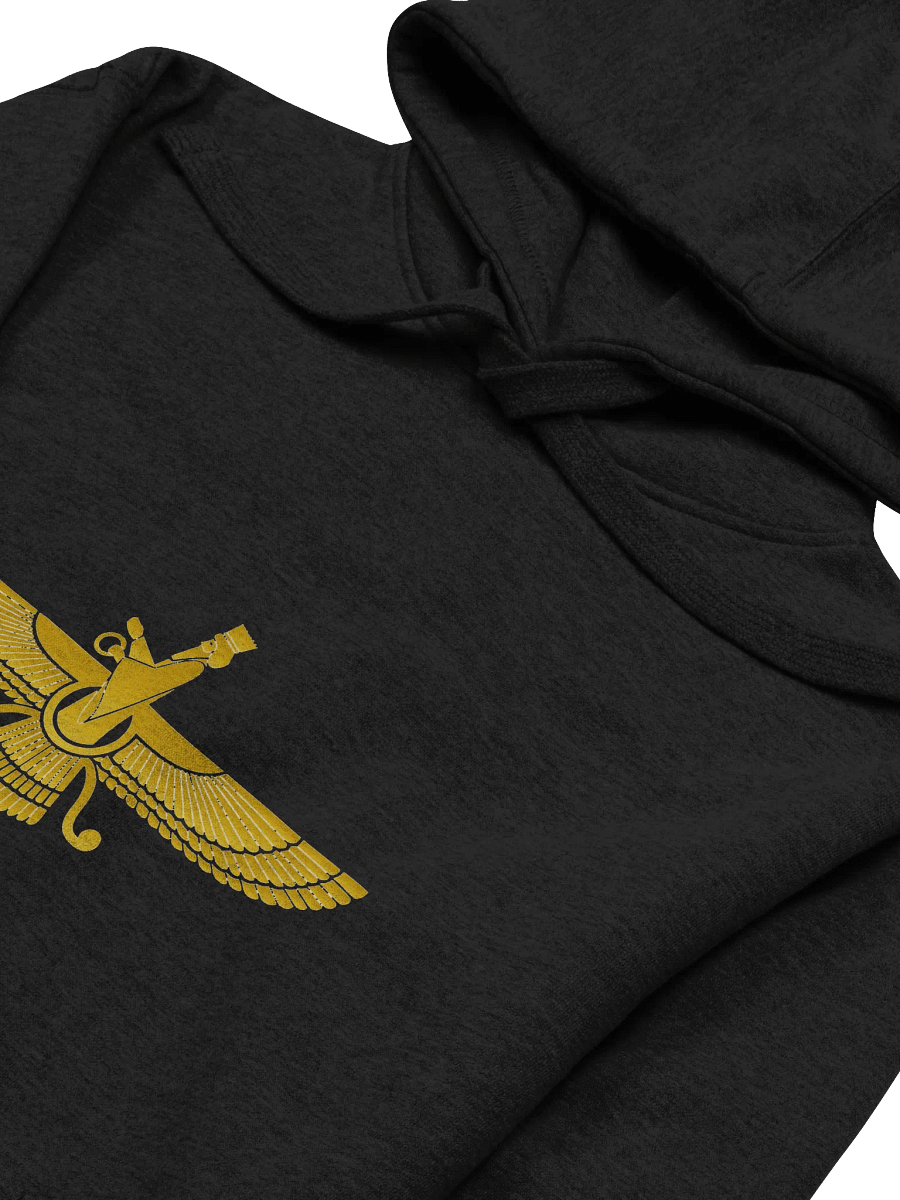 Winged Faravahar Unisex Hoodie product image (2)