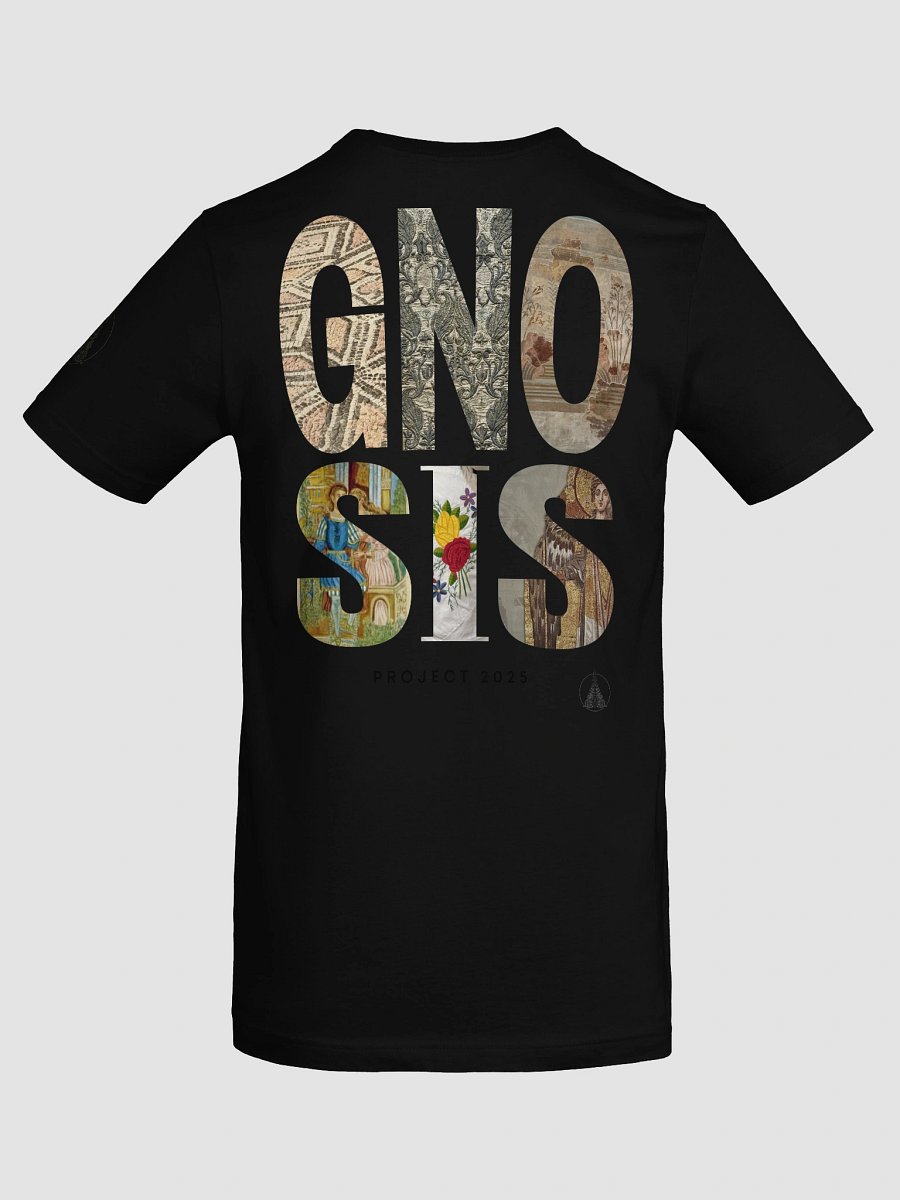 Gnosis Project 2025 product image (8)