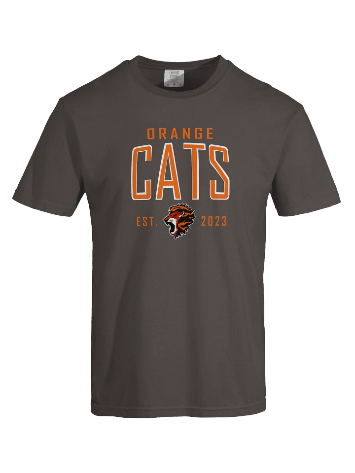 Orange Cats EST 2023 T-Shirt product image (1)