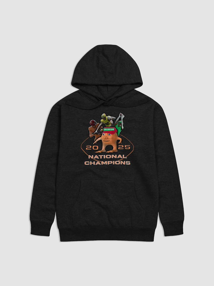 Tardaria 2025 National Champions Cotton Heritage Unisex Premium Hoodie product image (11)
