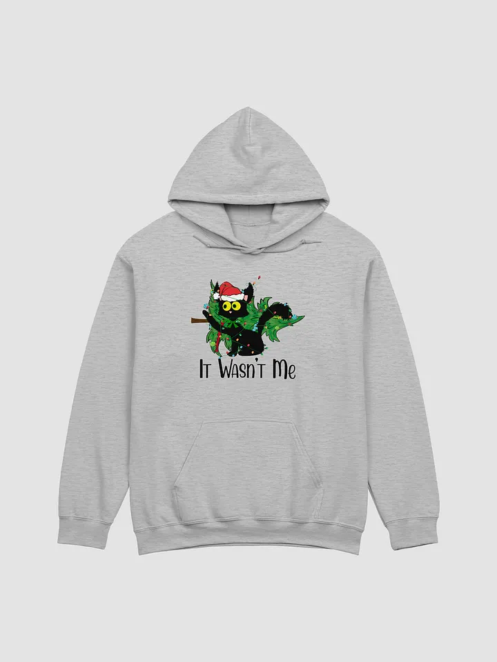 It Wasn't Me Hoodie product image (1)