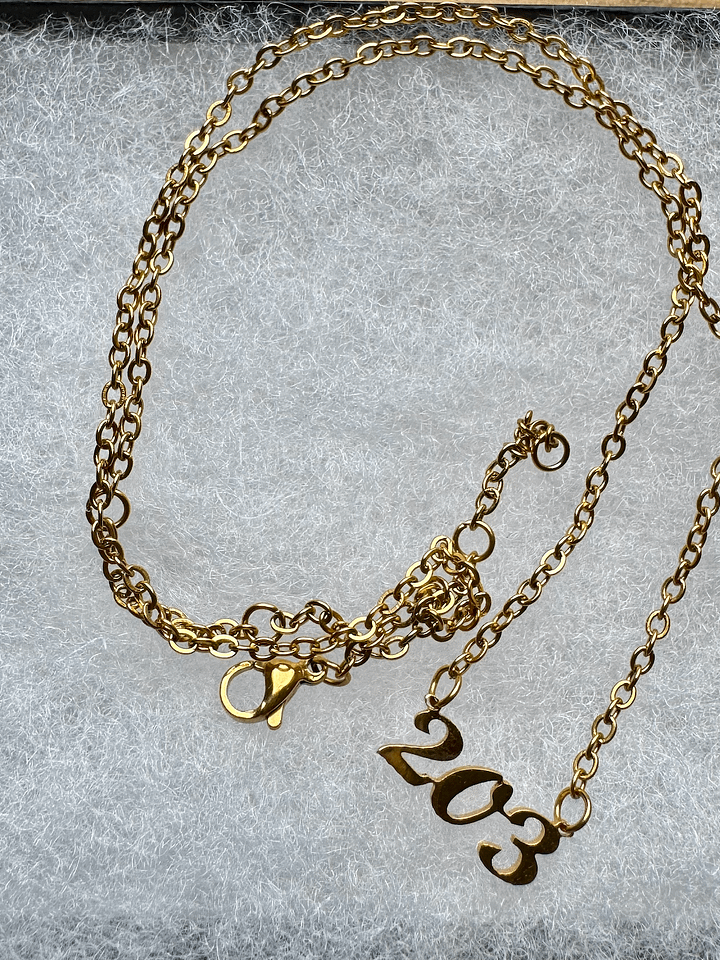 Connecticut Area Code Necklace product image (1)