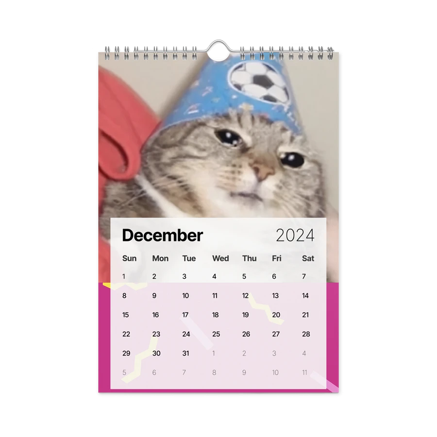 Wall Calendar (2024): Meme Cats product image (6)