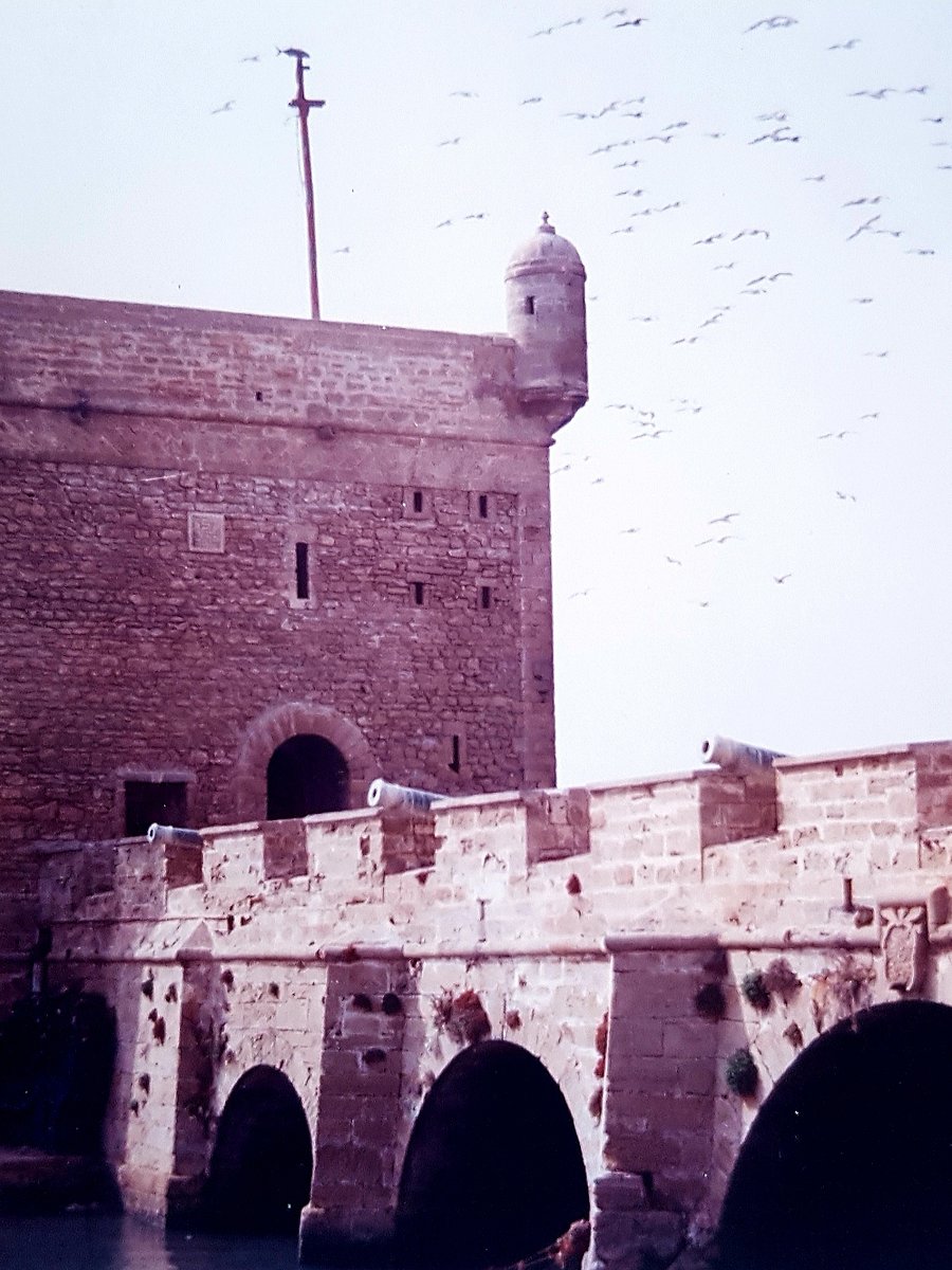 Essaouira port مرسى الصويرة product image (1)