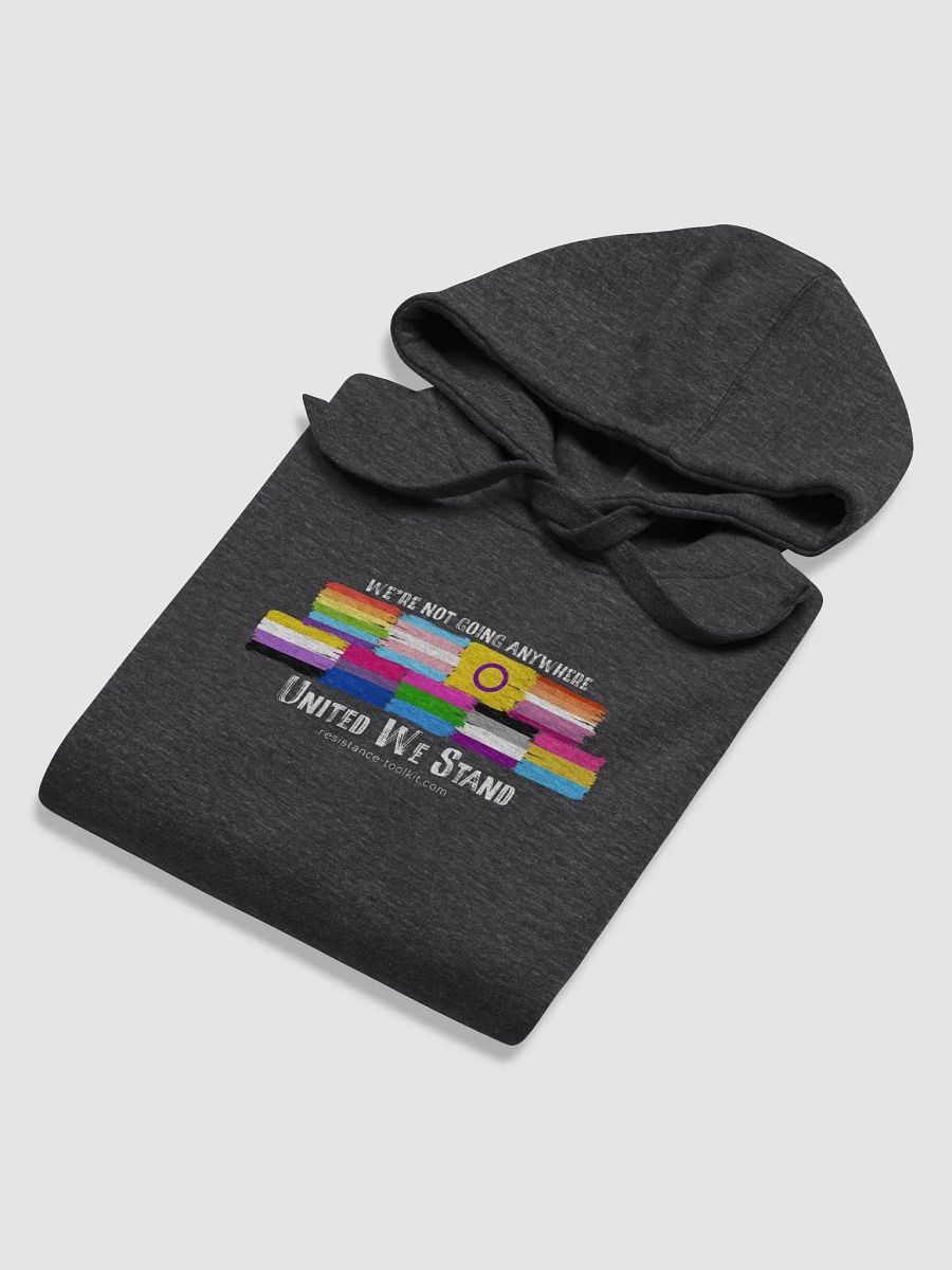United We Stand - Hoodie product image (5)