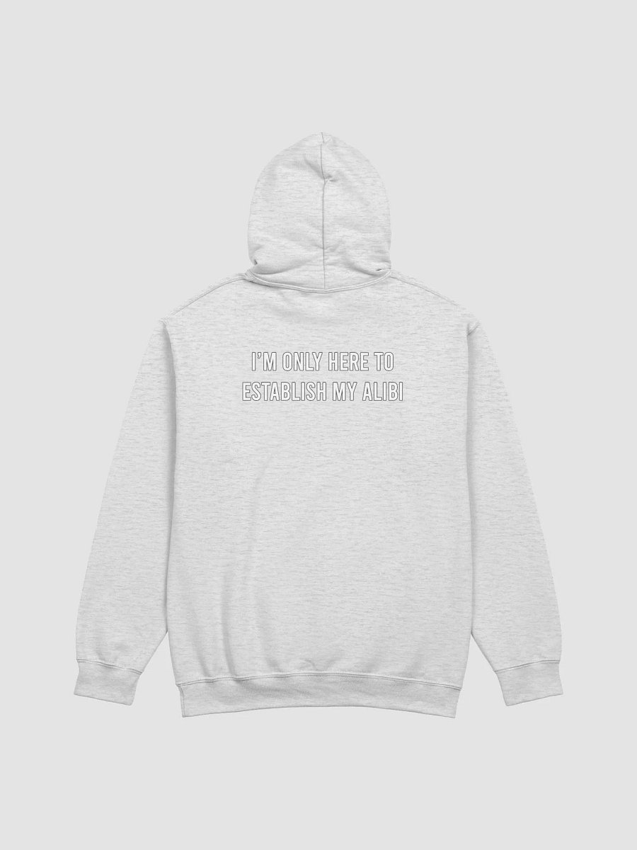 Establish My Alibi - Hoodie product image (15)