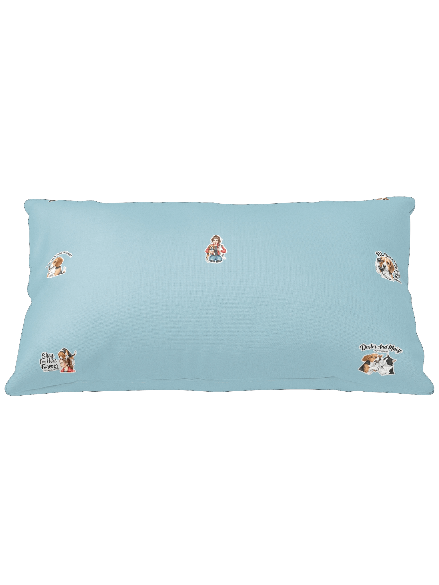 Dex and Co. pillow product image (1)