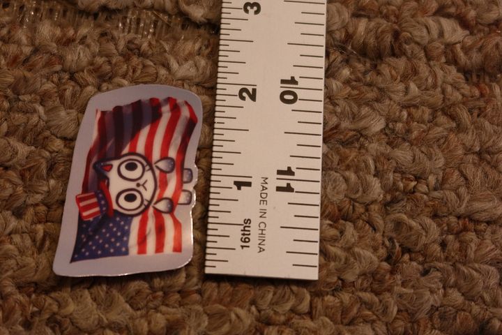 American Flag Cat and Dog product image (2)