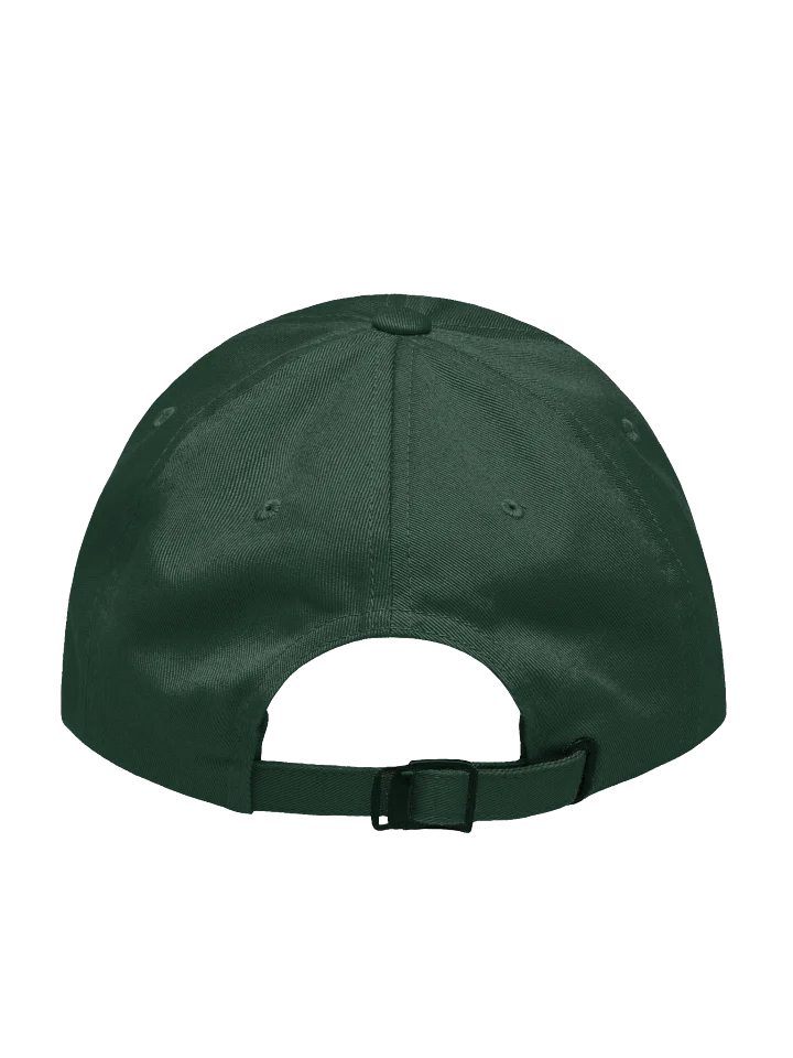 Spooky Crow Logo Hat - Fall 2025 product image (19)