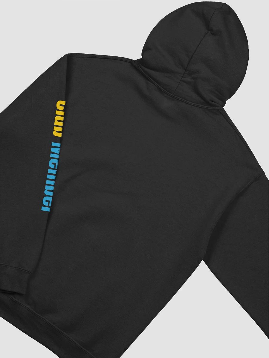 Club Member Hoodie product image (4)