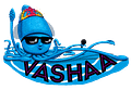 Vashaa