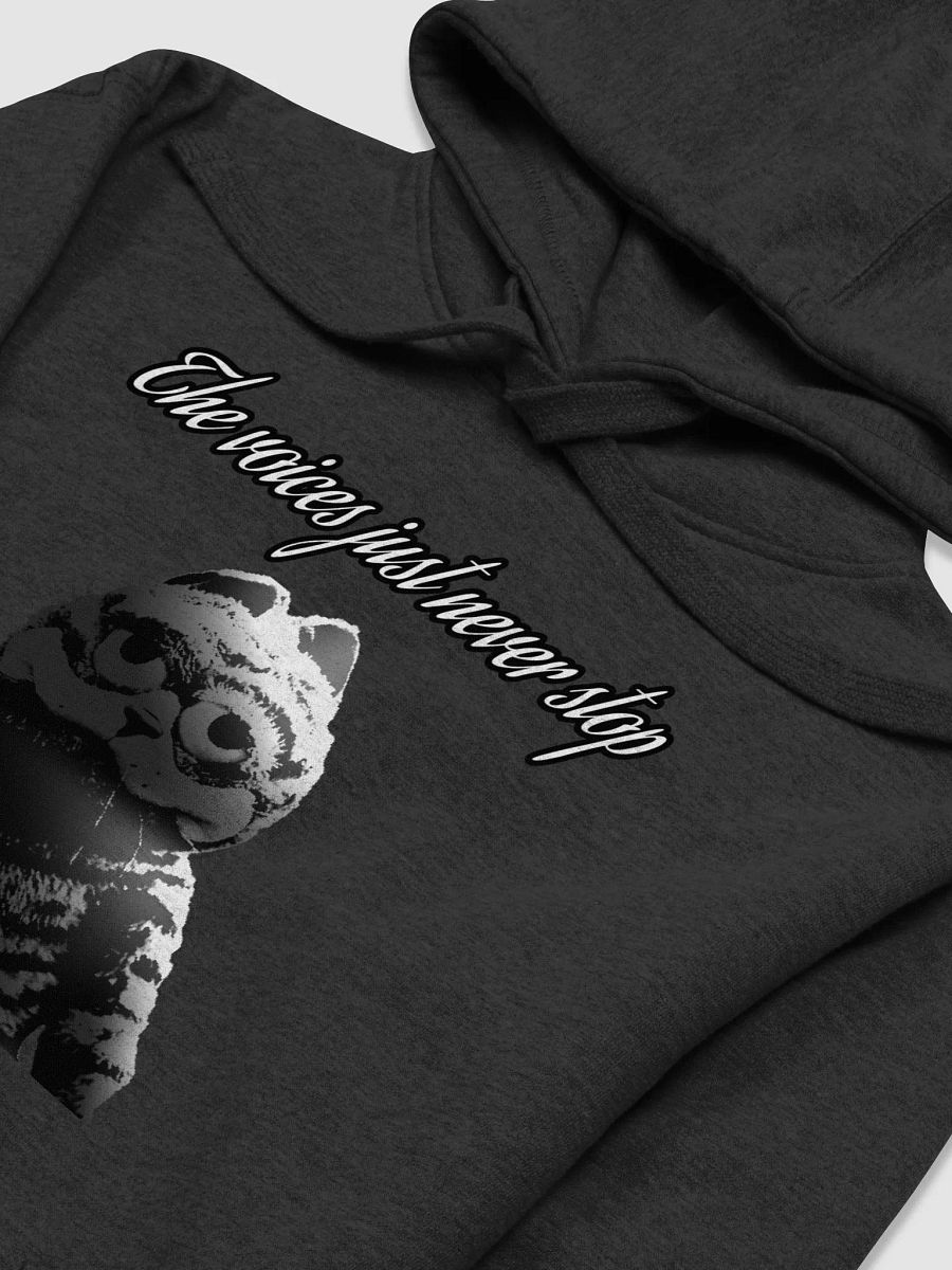 Voices Hoodie product image (27)