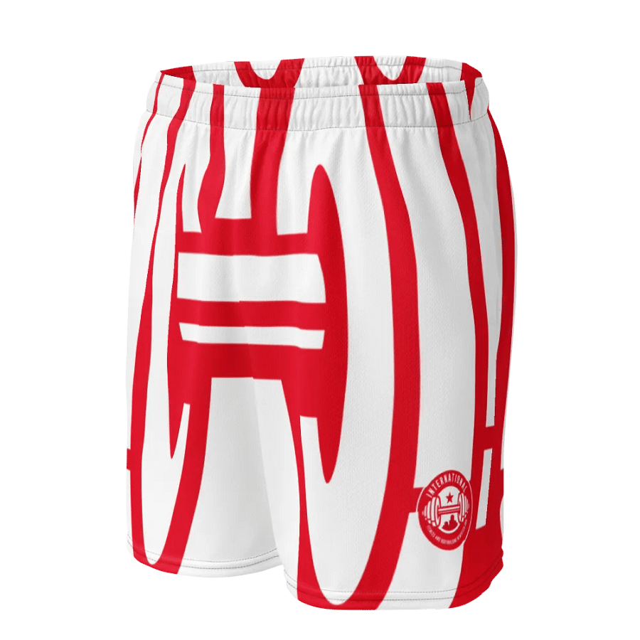 IFBNewsfeed.Org's All-Over Print Recycled Unisex Mesh Shorts product image (9)
