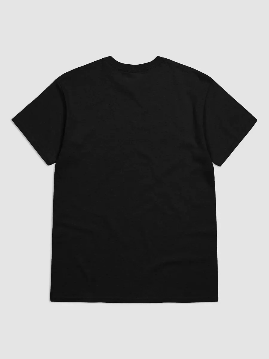 Certified Chaos T-Shirt product image (14)