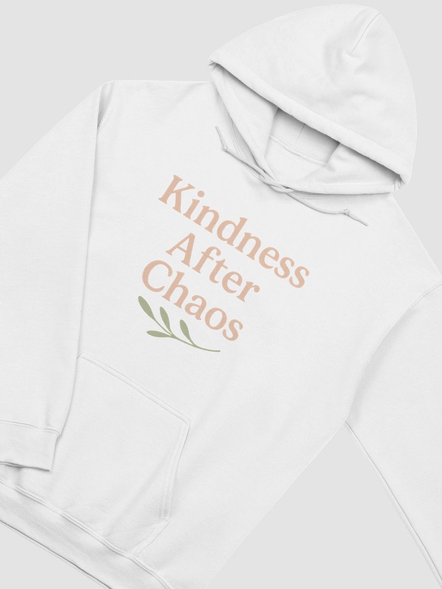 Kindness After Chaos Hoodie product image (4)