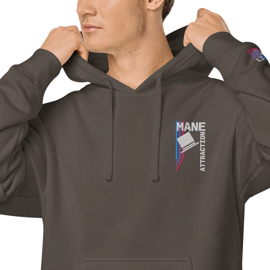 MA Hat Embroidered Hoodie product image (9)