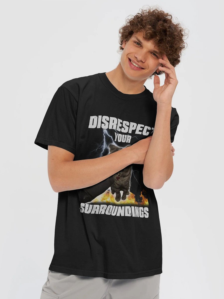 Laina's Disrespect Tee product image (5)