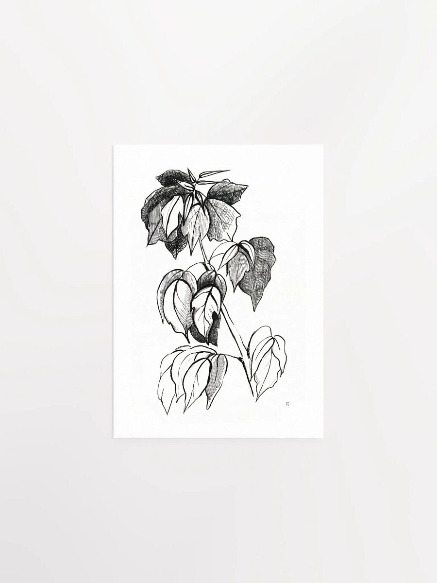 Botanical Bliss Matte Poster - Stylish Graphical Twig product image (1)