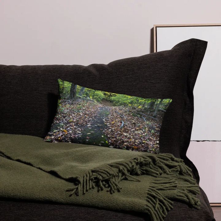 Fall Trail Pillow product image (1)