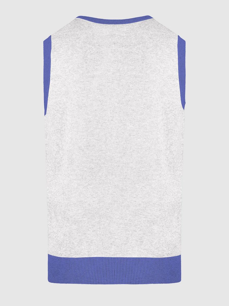 Homesick: Logo Sweater Vest product image (18)