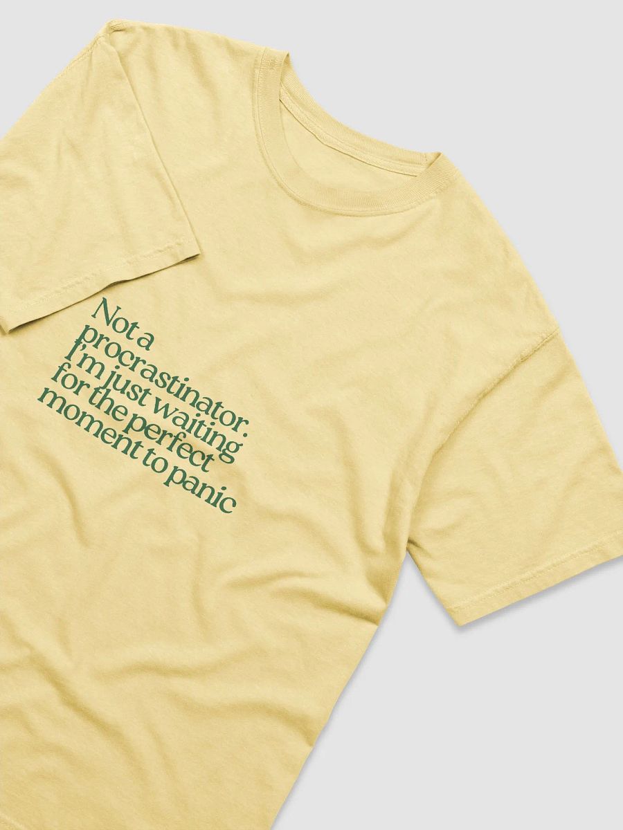 Perfect Moment Panic Tee product image (21)