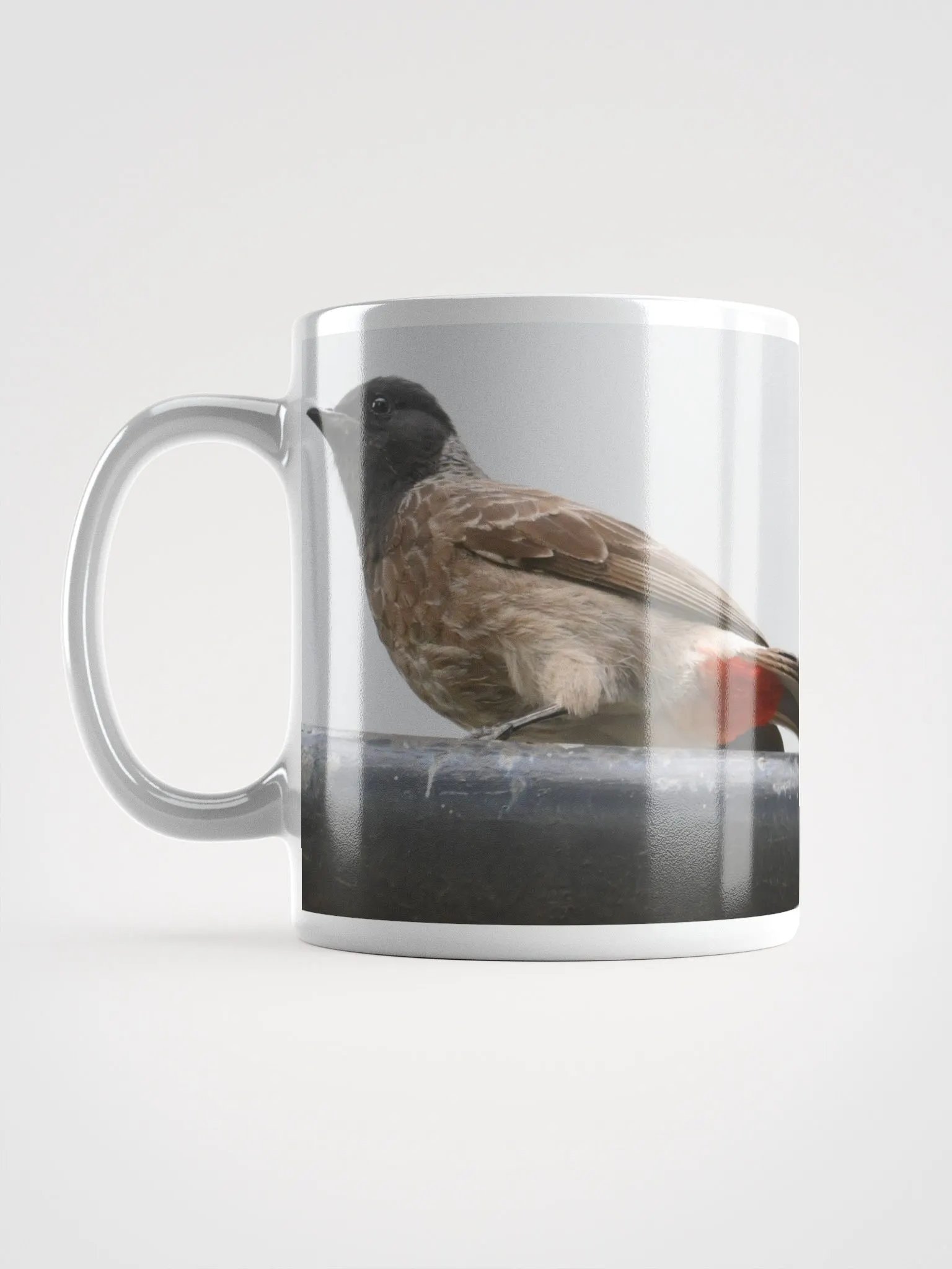 IUCAA BIRDS WHITE MUG product image (6)